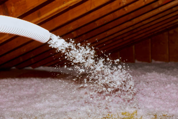 Best Commercial Insulation in Salem, UT